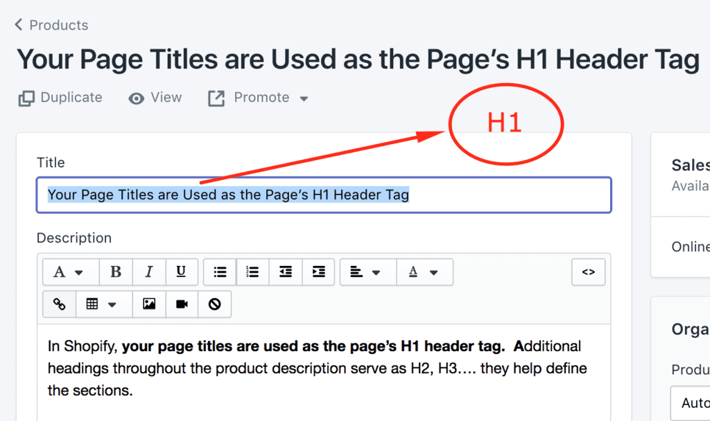 What Is An H1 (Header) on Website